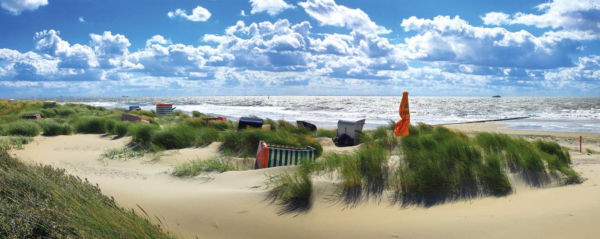 Haus Pop Daire Borkum Dış mekan fotoğraf
